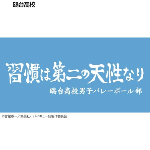 ハイキュー!! 横断幕ハンドタオルハーフ 鴎台高校 キャラアニで
                                                2025年4月発売