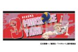 ハイキュー!! 応援タオル 6.夜久衛輔 キャラアニで
                                                2025年2月発売