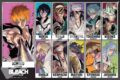 BLEACH 千年血戦篇 1000T-537　BLEACH CALL YOUR NAME VISUAL
 アニメイトで
2025年03月発売