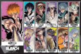 BLEACH 千年血戦篇 1000T-537　BLEACH CALL YOUR NAME VISUAL
 アニメイトで
2025年03月発売