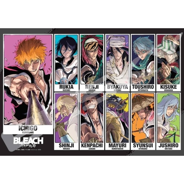 BLEACH 千年血戦篇 1000T-537　BLEACH CALL YOUR NAME VISUAL
 アニメイトで
2025年03月発売