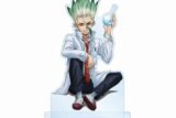 Dr.STONE 描き下ろしイラスト 石神千空 石化前ver. BIGアクリルスタンド【再販】
 アニメイトで
2025/04/27 発売