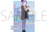 アイカツ! タペストリー/お忍び食べ歩きVer. 氷上スミレ
 アニメイトで
2025/03/15 発売