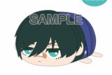 [アニメイト]ブルーロック ぽてコロマスコットBIG4 H:糸師 凛(絆創膏ver.)[アニメイト限定]
 
2025年04月発売