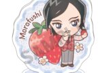 [アニメイト]名探偵コナン アクリルスタンド　諸伏高明　きゃらペコ　いちご狩り
 
2025年04月発売