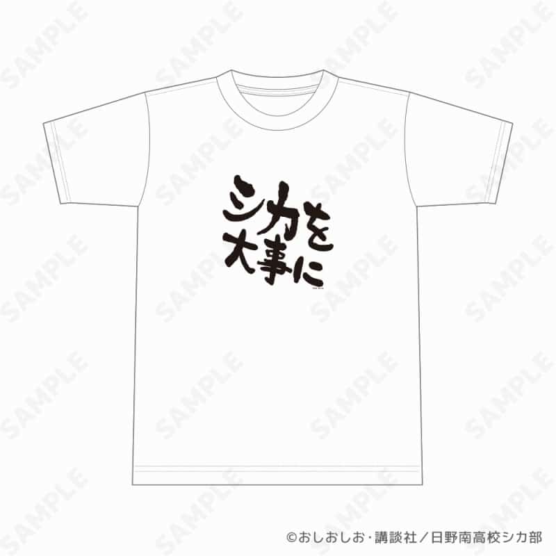 2025年05月発売