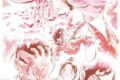 [アニメイト] 
2025年4月11日発売