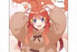 五等分の花嫁* マイクロファイバー 五月アニマルパーカー ver. キャラアニで
                                                2025年05月発売