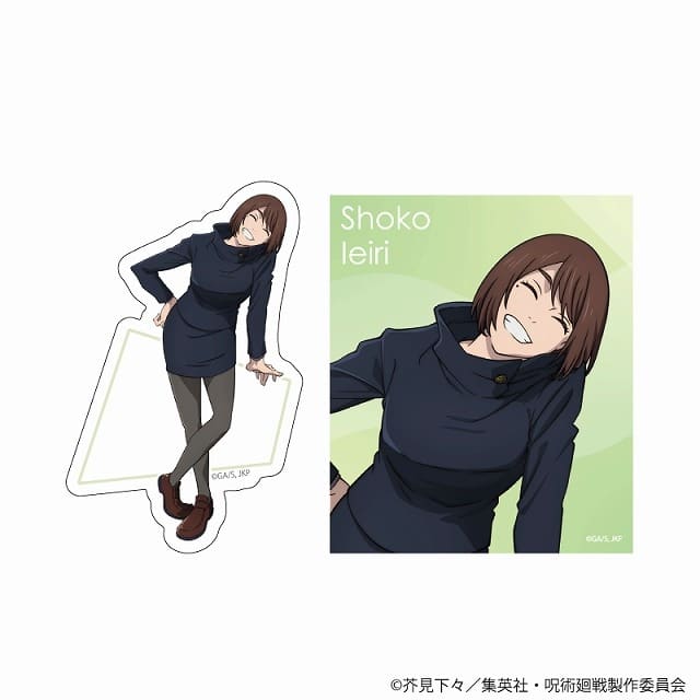 [アニメイト]呪術廻戦 ステッカー2枚セット Class Photo 懐玉・玉折 家入硝子
 
2025年6月14日発売