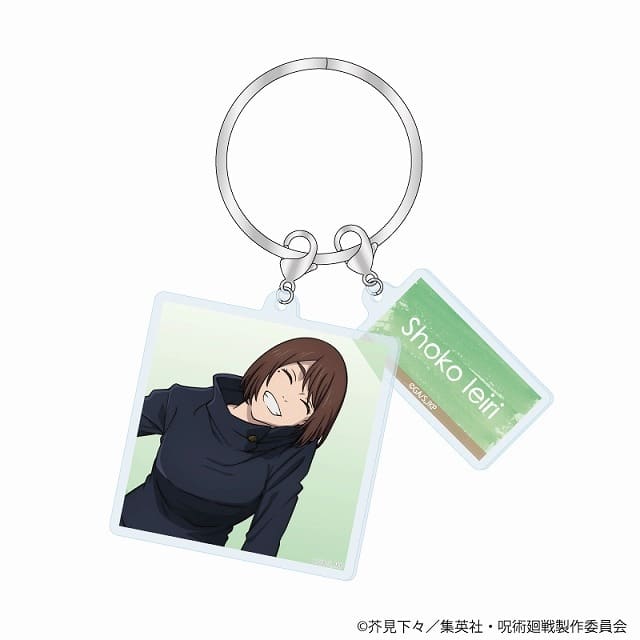 [アニメイト]呪術廻戦 2連アクリルキーホルダー Class Photo 懐玉・玉折 家入硝子
 
2025年6月14日発売