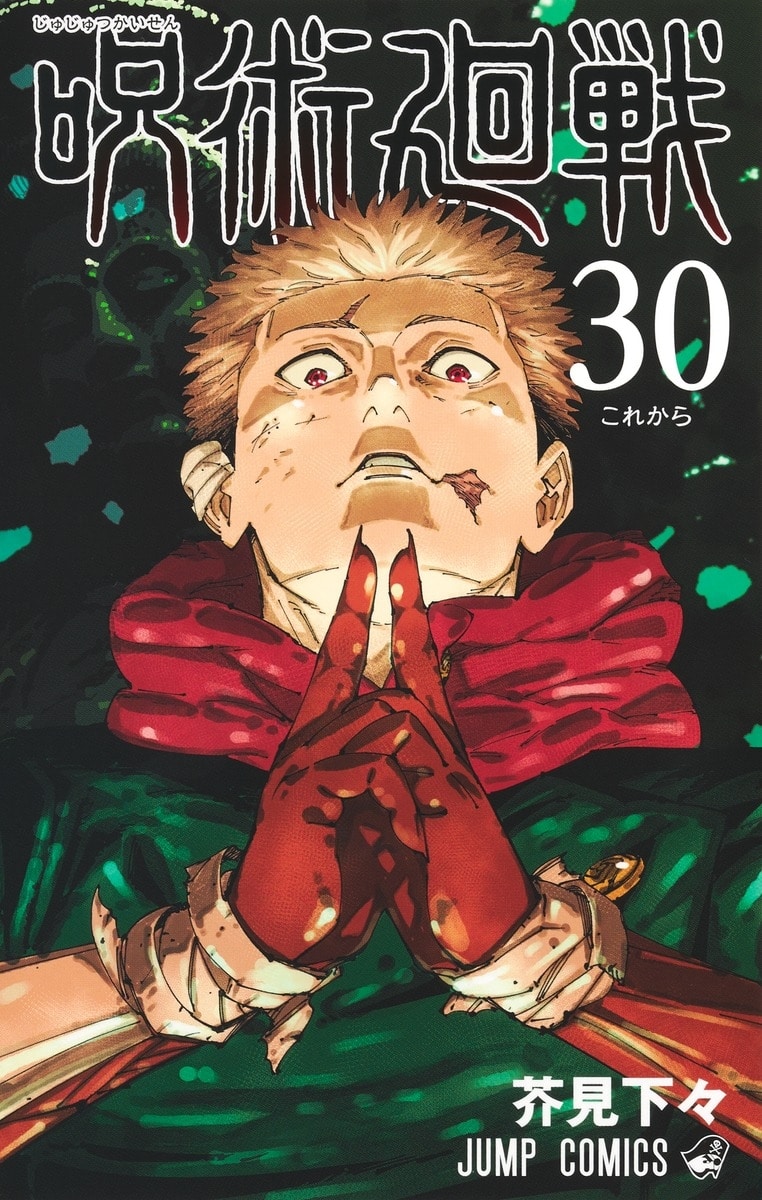 [アニメイト]呪術廻戦(30)
 
2024年12月25日発売