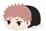 [アニメイト]呪術廻戦 ぽてコロマスコットMsize2 G:虎杖 悠仁(中学時代ver.)
 
2025年07月発売