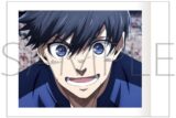 [アニメイト]ブルーロック2期 ぱしゃこれ/Vol.5
 
2025年6月13日発売
