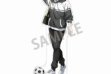 [アニメイト]ブルーロック アクリルスタンド 凪 誠士郎/ノスタルジー
 
2025年05月発売