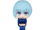 [アニメイト]るかっぷ ブルーロック 氷織 羊
 
2025年09月下旬発売