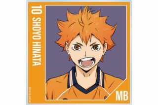 ハイキュー!! 日向翔陽 セカンドユニフォームver. アクリルコースター【再販】
 
2025年6月17日発売