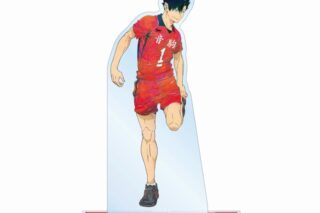 ハイキュー!! 黒尾鉄朗 Ani-Art 第7弾 BIGアクリルスタンド【再販】
 
2025年6月17日発売
で取扱中