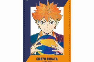ハイキュー!! 日向翔陽 Ani-Art 第4弾 1ポケットパスケース【再販】
 
2025年6月17日発売