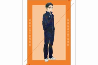 ハイキュー!! 武田一鉄 Ani-Art 第7弾 A3マット加工ポスター【再販】
 
2025年6月17日発売