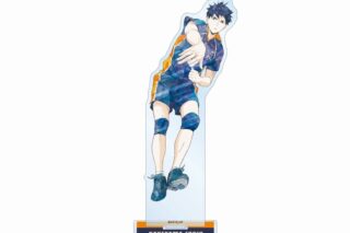ハイキュー!! 影山飛雄 Ani-Art 第3弾 BIGアクリルスタンド【再販】
 
2025年6月17日発売