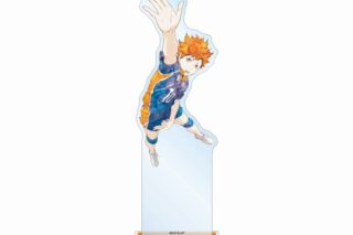 ハイキュー!! 日向翔陽 Ani-Art 第3弾 BIGアクリルスタンド【再販】
 
2025年6月17日発売
で取扱中