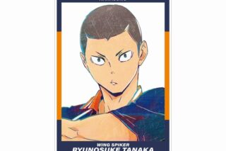 ハイキュー!! 田中龍之介 Ani-Art 第4弾 A3マット加工ポスター【再販】
 
2025年6月17日発売
で取扱中
