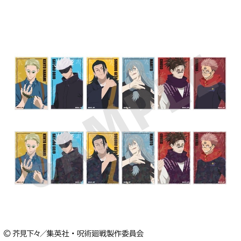[アニメイト]呪術廻戦 ペイントラクトシリーズ トレーディングアクリルカード vol.2(全12種)
 
2025年05月発売