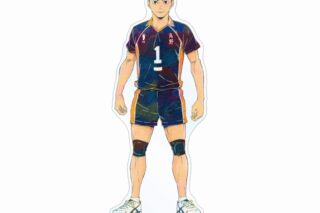 ハイキュー!! 澤村大地 Ani-Art 第4弾 BIGアクリルスタンド【再販】
 
2025年6月17日発売
で取扱中