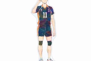ハイキュー!! 月島蛍 Ani-Art 第4弾 BIGアクリルスタンド【再販】
 
2025年6月17日発売
で取扱中