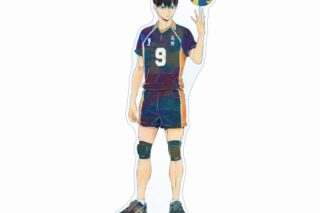 ハイキュー!! 影山飛雄 Ani-Art 第4弾 BIGアクリルスタンド【再販】
 
2025年6月17日発売