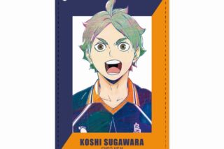 ハイキュー!! 菅原孝支 Ani-Art 第4弾 1ポケットパスケース【再販】
 
2025年6月17日発売