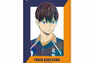 ハイキュー!! 影山飛雄 Ani-Art 第4弾 1ポケットパスケース【再販】
 
2025年6月17日発売