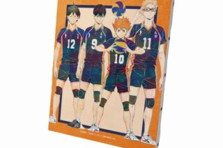 ハイキュー!! 1年生 Ani-Art 第4弾 キャンバスボード【再販】
 
2025年6月17日発売
で取扱中