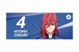 [アニメイト]TVアニメ『ブルーロック』 描き下ろし 千切 豹馬 試合前の準備中ver. フェイスタオル
 
2025年8月7日発売