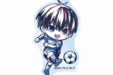 [アニメイト]TVアニメ『ブルーロック』 潔 世一 デフォルメAni-Art 第2弾 アクリルステッカー
 
2025年6月17日発売