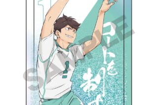 ハイキュー!! グリッターオイルインアクリルブロック 及川徹
 
2025年06月発売