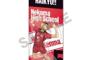 ハイキュー!! パッケージ風アクリルキーホルダー 孤爪研磨
 
2025年06月発売