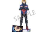 ヴィジランテ (ヒロアカ) アクリルスタンド 灰廻航一
 
2025年06月発売
 【アニメイト】