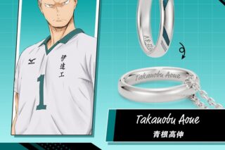 ハイキュー!! リングネックレス 伊達工業高校 シルバー 青根高伸
 
2025年08月下旬発売
