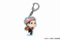 [アニメイト]呪術廻戦 mochocho アクリルキーホルダー 虎杖悠仁 バスケVer.
 
2025年02月発売