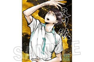 ハイキュ―!! 激闘!!メタルパネル 及川 徹
 
2025年04月発売