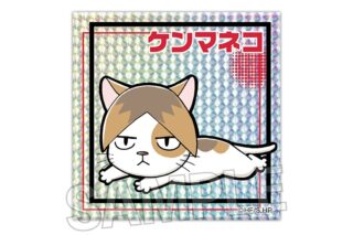 ハイキュー!! ギラギラブロック ケンマネコ【再販】
 
2024年12月発売
で取扱中