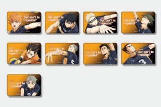 ハイキュー!! TD缶バッジ 5期アクション版権 箔押しver. 烏野(全9種)
 
2025年01月下旬発売
で取扱中