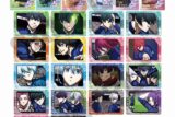 [アニメイト]ブルーロック トレーディングふぁぼカ vol.13
 
2025年06月発売