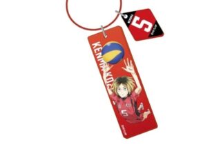 劇場版ハイキュー!! ゴミ捨て場の決戦 ワイヤープレートキーホルダー04孤爪研磨
 
2024年08月発売