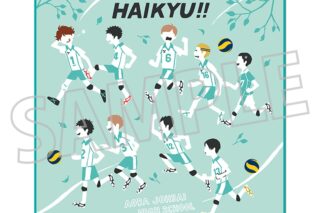 ハイキュー!! ハンドタオル/青葉城西高校
 アニメイトで
2025年5月30日発売