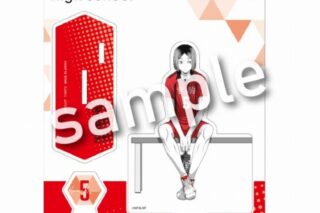 ハイキュー!! break time アクリルスタンドプレート 孤爪研磨
 アニメイトで
2025年06月発売