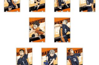 劇場版ハイキュー!! ゴミ捨て場の決戦 アートパネルコレクションVol.2 烏野高校BOX
 
2024年08月発売