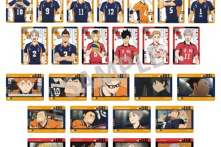 ハイキュー!! Picharm3【再販】
 
2024年09月発売