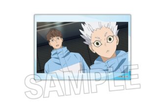 ハイキュー!! スタパネ ミニ vol.5 11
 
2024年09月発売